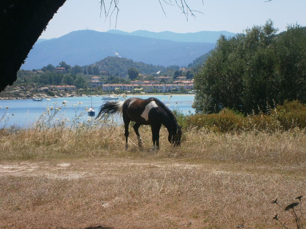 Barbagiannis House Lejlighed Ormos Panagias Værelse billede